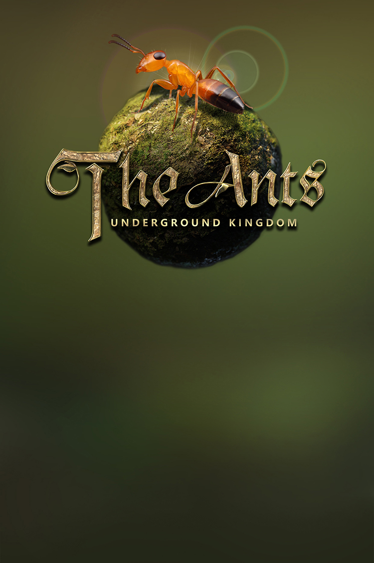The ants underground kingdom